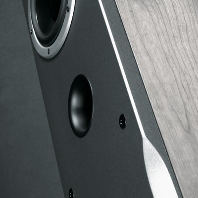 dynaudio_audience_62-test